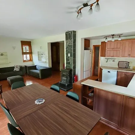 Villa Ev - Tas Ev - Bahceli - 8 Kisilik - Bursa
