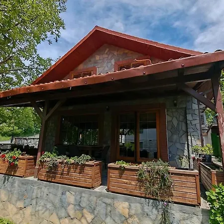 Villa Ev - Tas Ev - Bahceli - 8 Kisilik - Bursa