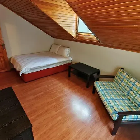 Villa Ev - Tas Ev - Bahceli - 8 Kisilik - Bursa *
