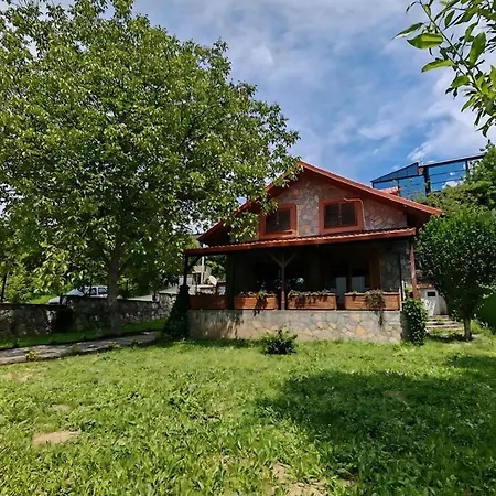 Villa Ev - Tas Ev - Bahceli - 8 Kisilik - Bursa *