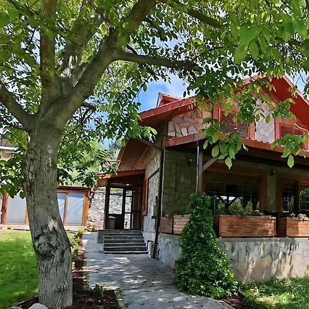 Villa Ev - Tas Ev - Bahceli - 8 Kisilik - Bursa Nilufer